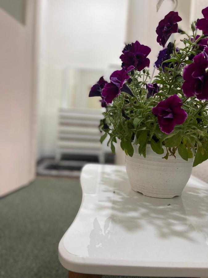 Apartment-Rubin Pristina Eksteriør bilde